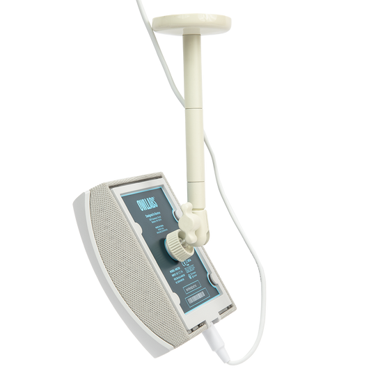 Whiteboard Owl Ceiling Mount